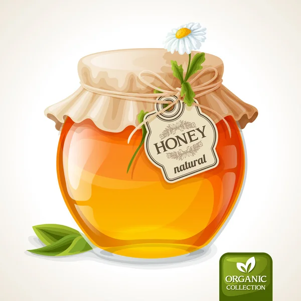 Honey jar glass — Stock Vector