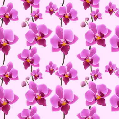 Orkide çiçeği seamless modeli
