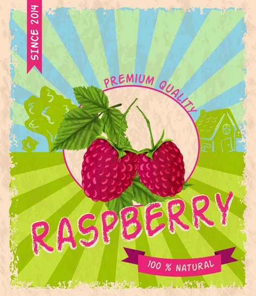 Poster retro raspberry - Stok Vektor