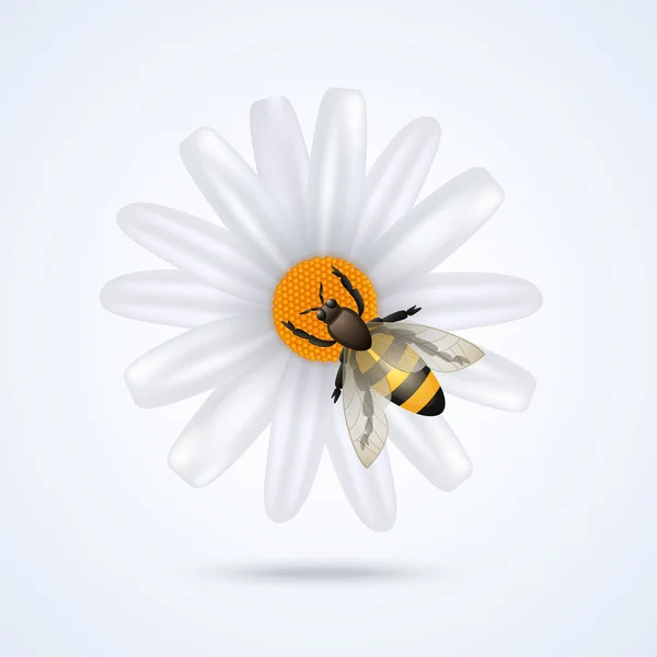 Бджола з квіткою — стоковий вектор