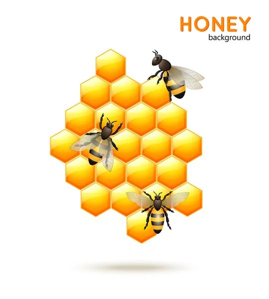 Honey bee bakgrund — Stock vektor