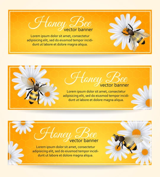Conjunto de banners de abelhas — Vetor de Stock