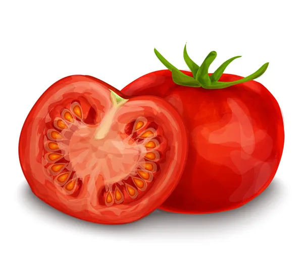 Tomat isolerad på vitt — Stock vektor