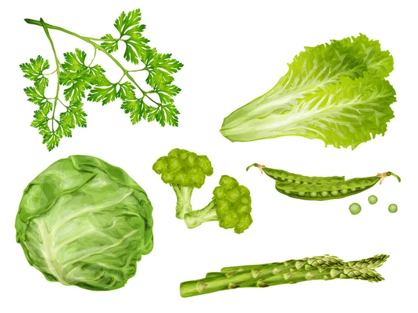 Conjunto de verduras verdes — Vector de stock