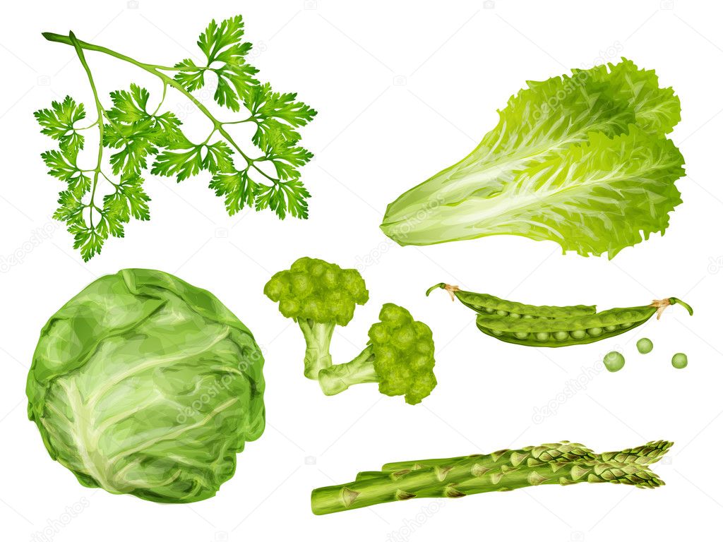 Green vegetables set