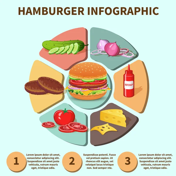 Hamburguesa sándwich infografía — Vector de stock