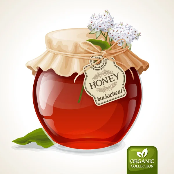 Sarrasin pot de miel — Image vectorielle