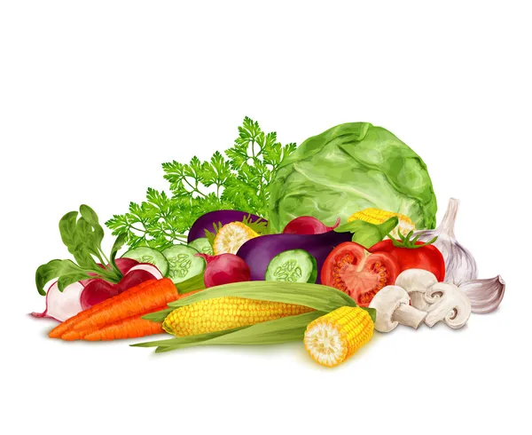 Świeże warzywa na biały — Wektor stockowy