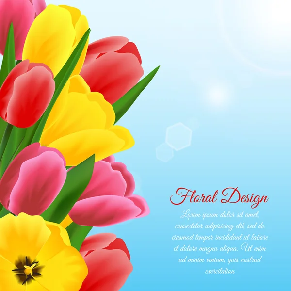 Tulip design background — Stock Vector