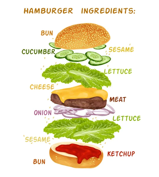 Zestaw składników hamburgera — Wektor stockowy