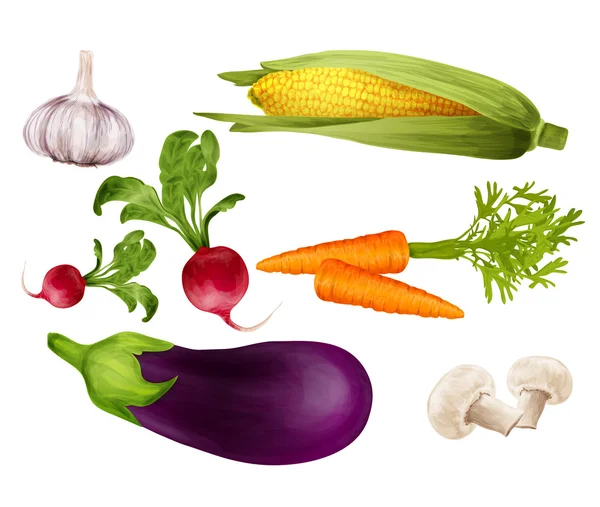 Vegetables realistic set — Stock Vector