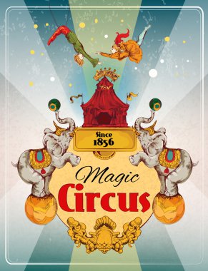 Sirk retro posteri