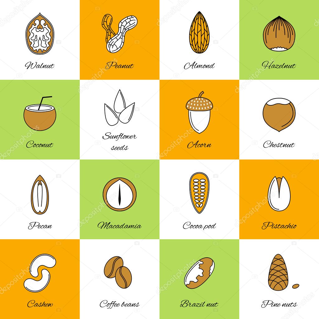 Set of nuts icons