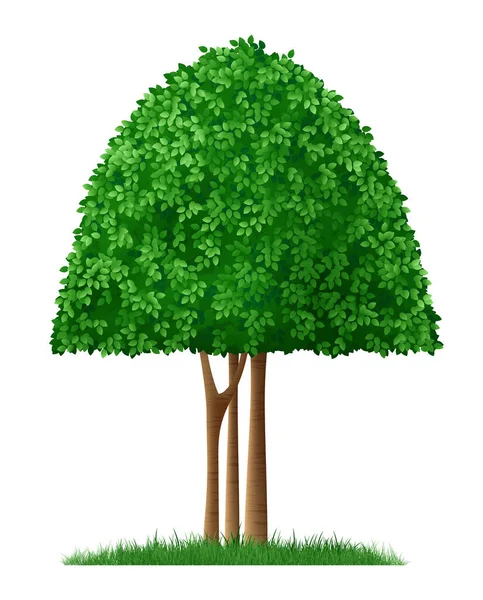 Dekorative Baum-Illustration — Stockvektor