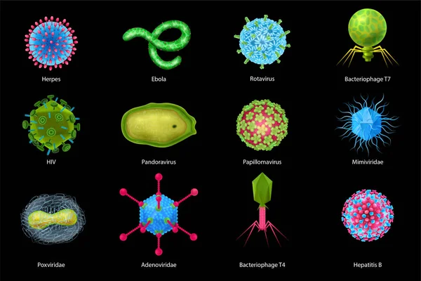 ชุดไวรัสที่สมจริง — ภาพเวกเตอร์สต็อก
