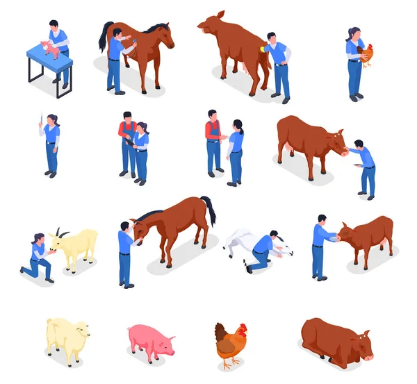 Farma Zvířata Veterinární barevné Izometrické ikony Set — Stockový vektor