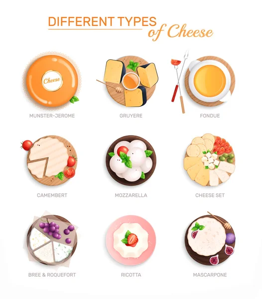 Typy sýrů Plochá sada — Stockový vektor