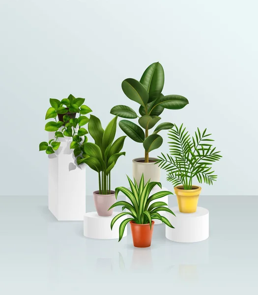 Növények Realisztikus Ház — Stock Vector