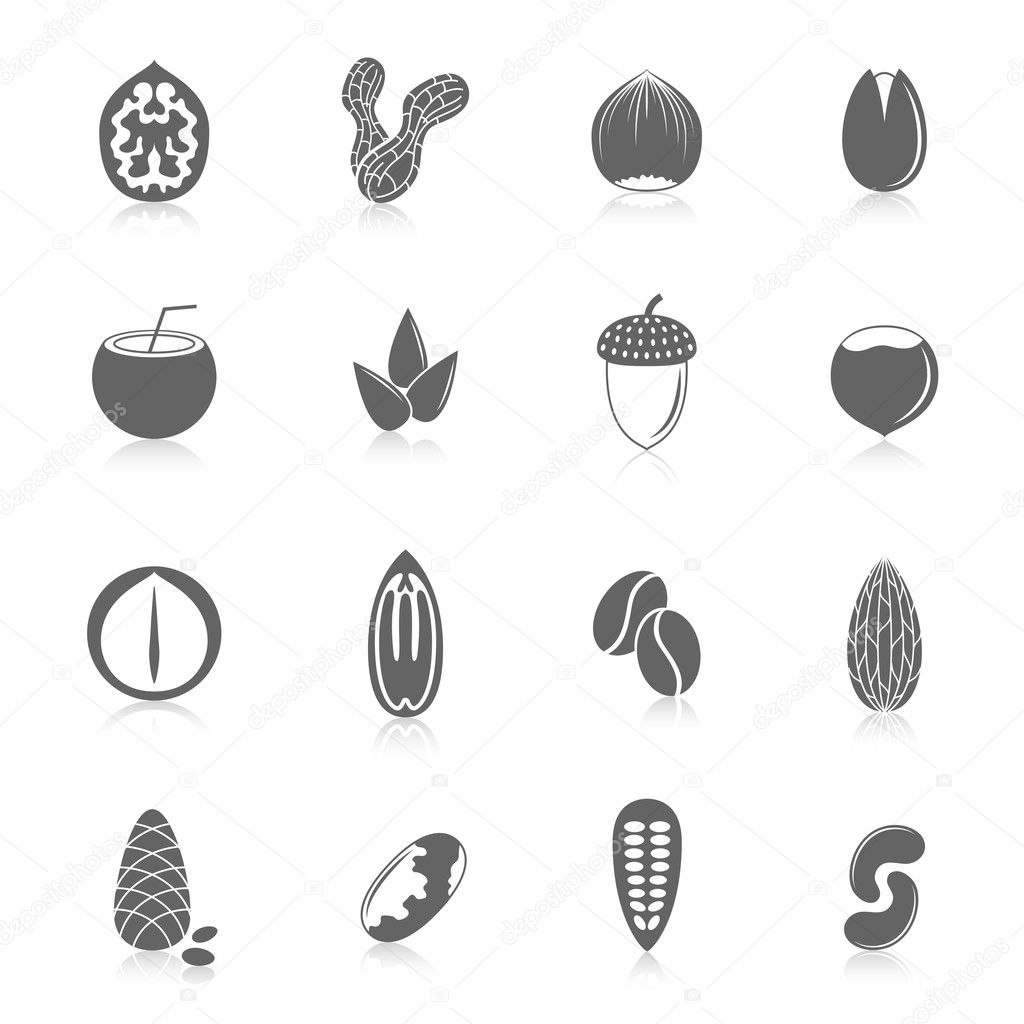 Set of nuts icons