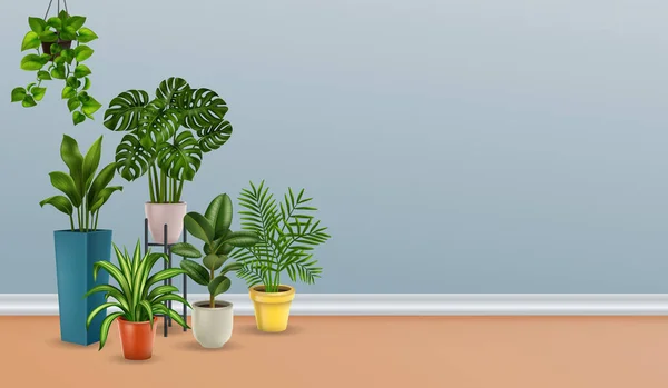 Plantas Casa realista — Vetor de Stock