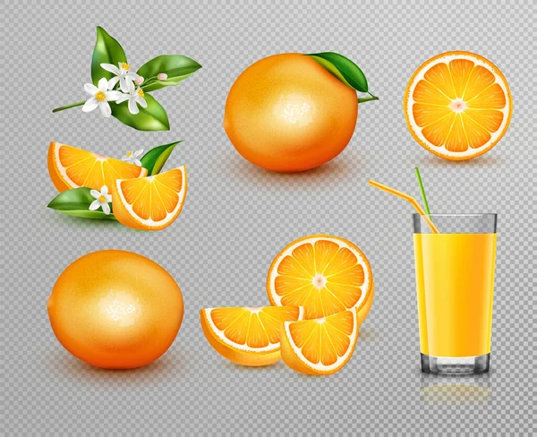 Апельсини Реалістичний набір — стоковий вектор