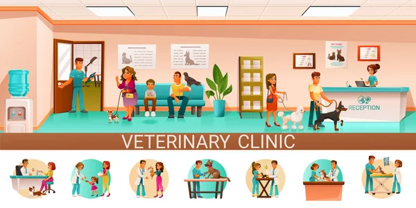 Veterinary Clinic Cartoon Infographic — Stock Vector
