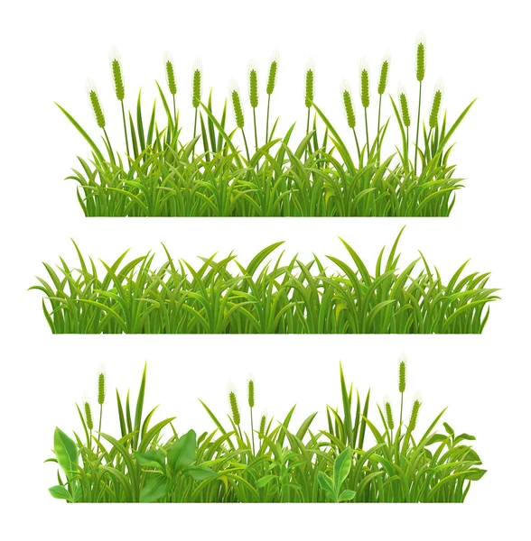 Grass Leaves realistis banner - Stok Vektor