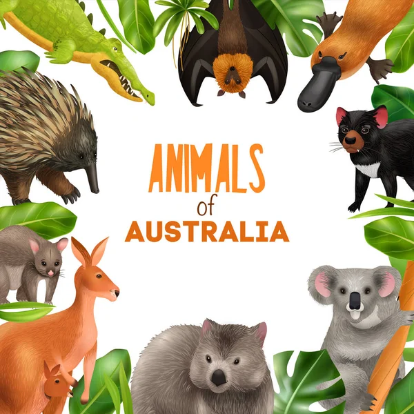 Australian Animals Frame Composition — Stock Vector
