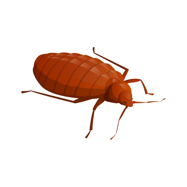 Cockroach Isometric Icon — Stock Vector