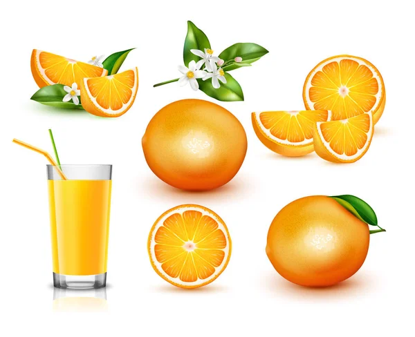 Pomarańczowy zestaw realistyczny — Wektor stockowy