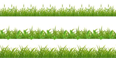 Çimen Yapraksız Kalıp