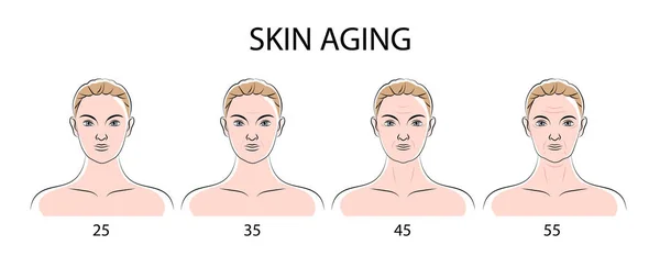 Affiche sur le vieillissement de la peau — Image vectorielle