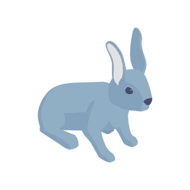 Tavşan Isometric İllüstrasyon