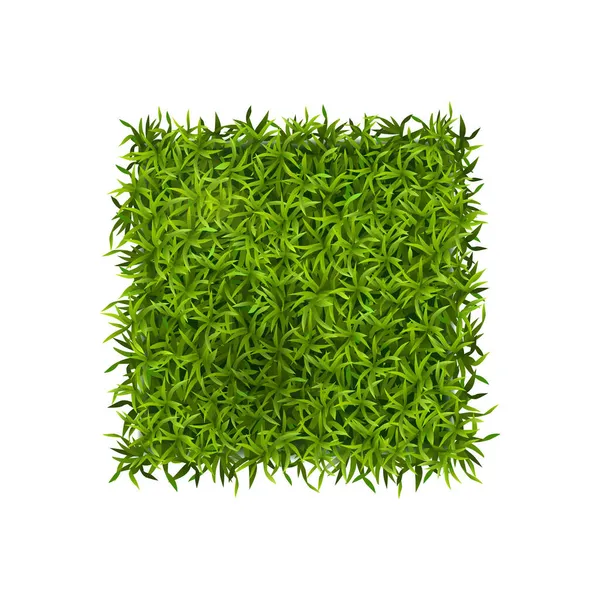 Fresh Grass Square Composition — Stock Vector