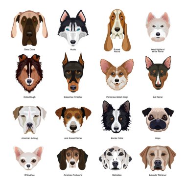 Dogs Breeds Set clipart