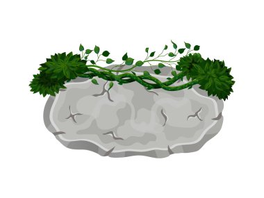 Taş Bileşimi Üzerine Çalılıklar