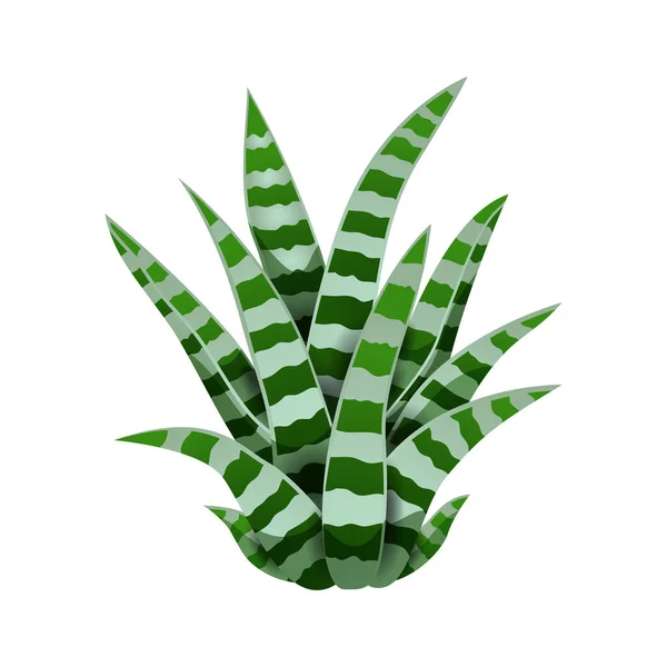 Planta de serpiente Cactus Composición — Vector de stock