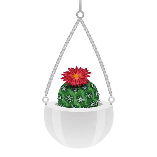 Parodia Cactus Flowerpot Composition — 스톡 벡터