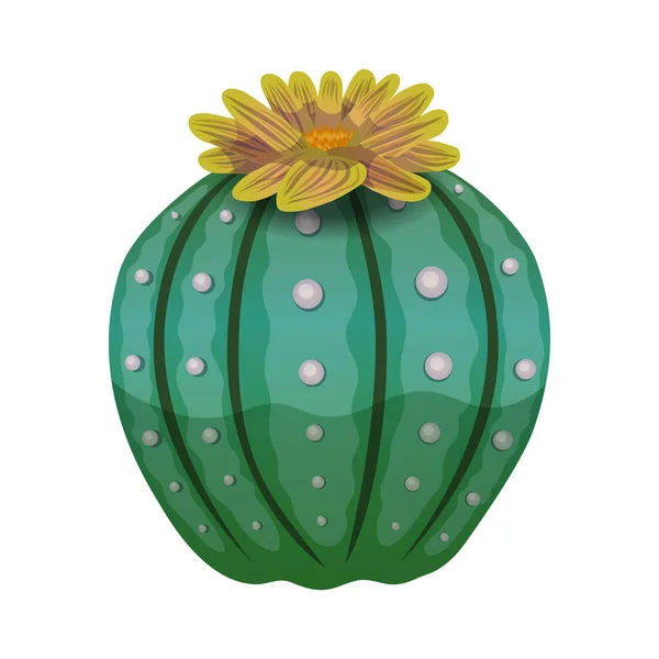 Гарбузове ремесло Cactus Composition — стоковий вектор