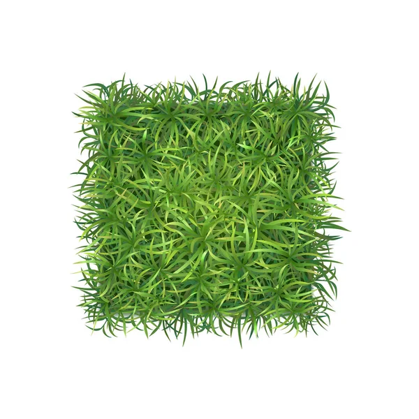 Composición realista de hierba larga — Vector de stock