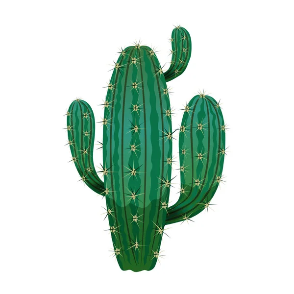 Sivatagi kaktusz növényi összetétel — Stock Vector