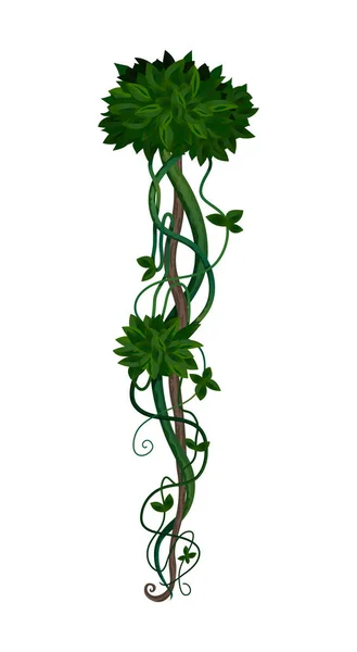 Jungle Hanging Liana Composición — Vector de stock