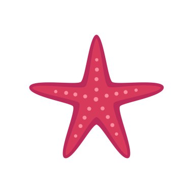 Deniz Yıldızı Balık Bileşimi