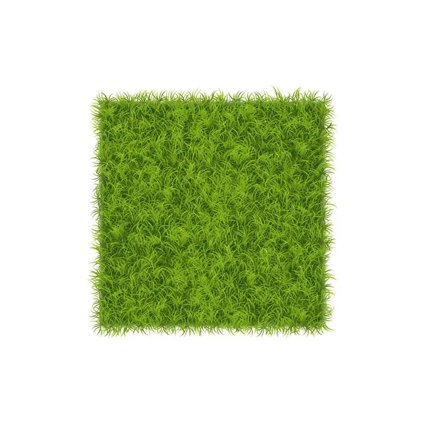 Winziges Gras realistische Komposition — Stockvektor