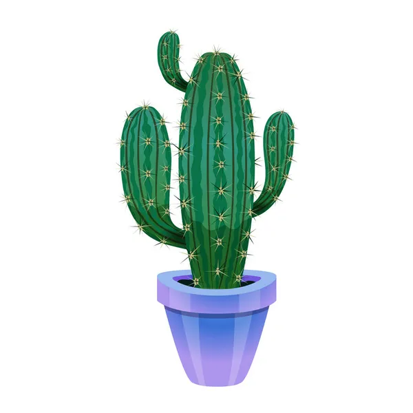 Cactus In Flowerpot Composition — Stock Vector