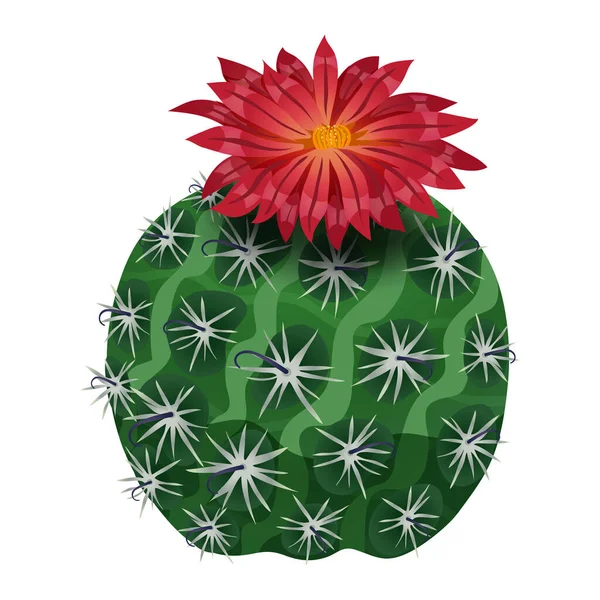 Parodia Craft Cactus Sammansättning — Stock vektor