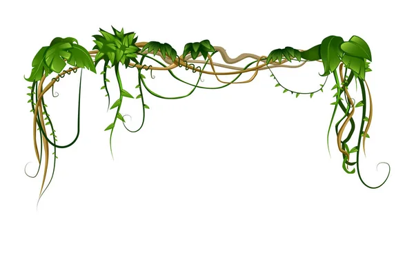 Trópusi Liana levelek összetétele — Stock Vector