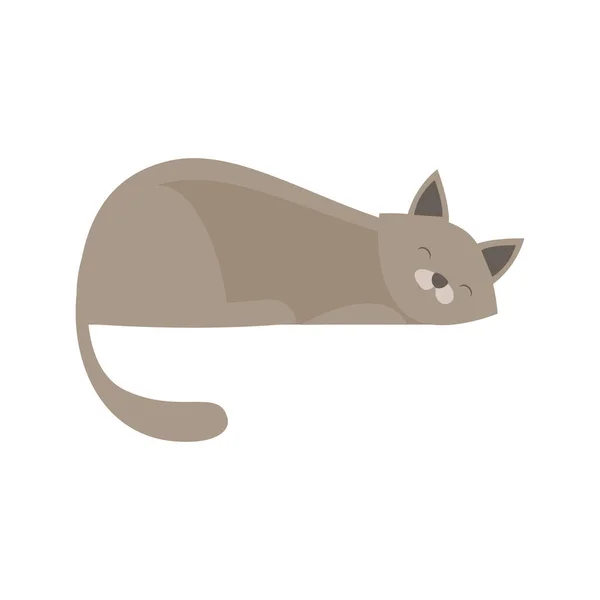 Composición de acicalamiento para gatos somnolientos — Vector de stock