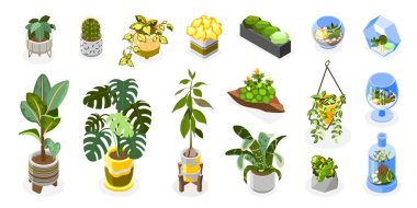 Bitkiler Icons Set