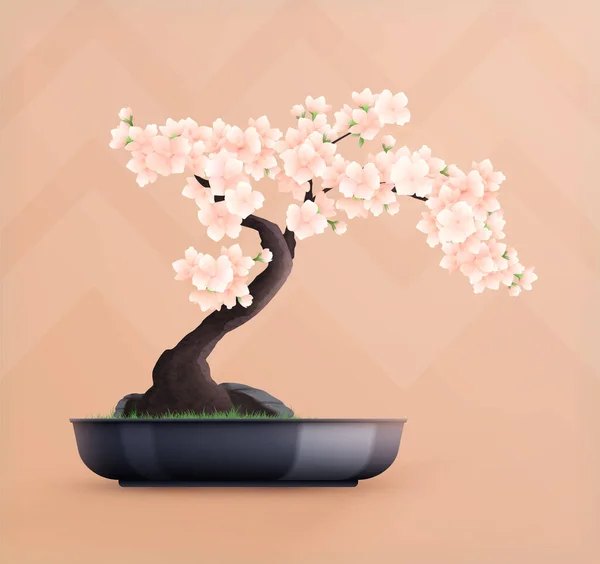 Árvore Bonsai plana — Vetor de Stock